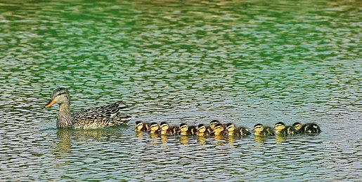 建造游戏《After Inc: Revival》Steam页面上线 明年发售